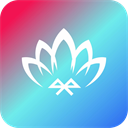 火花视频助手